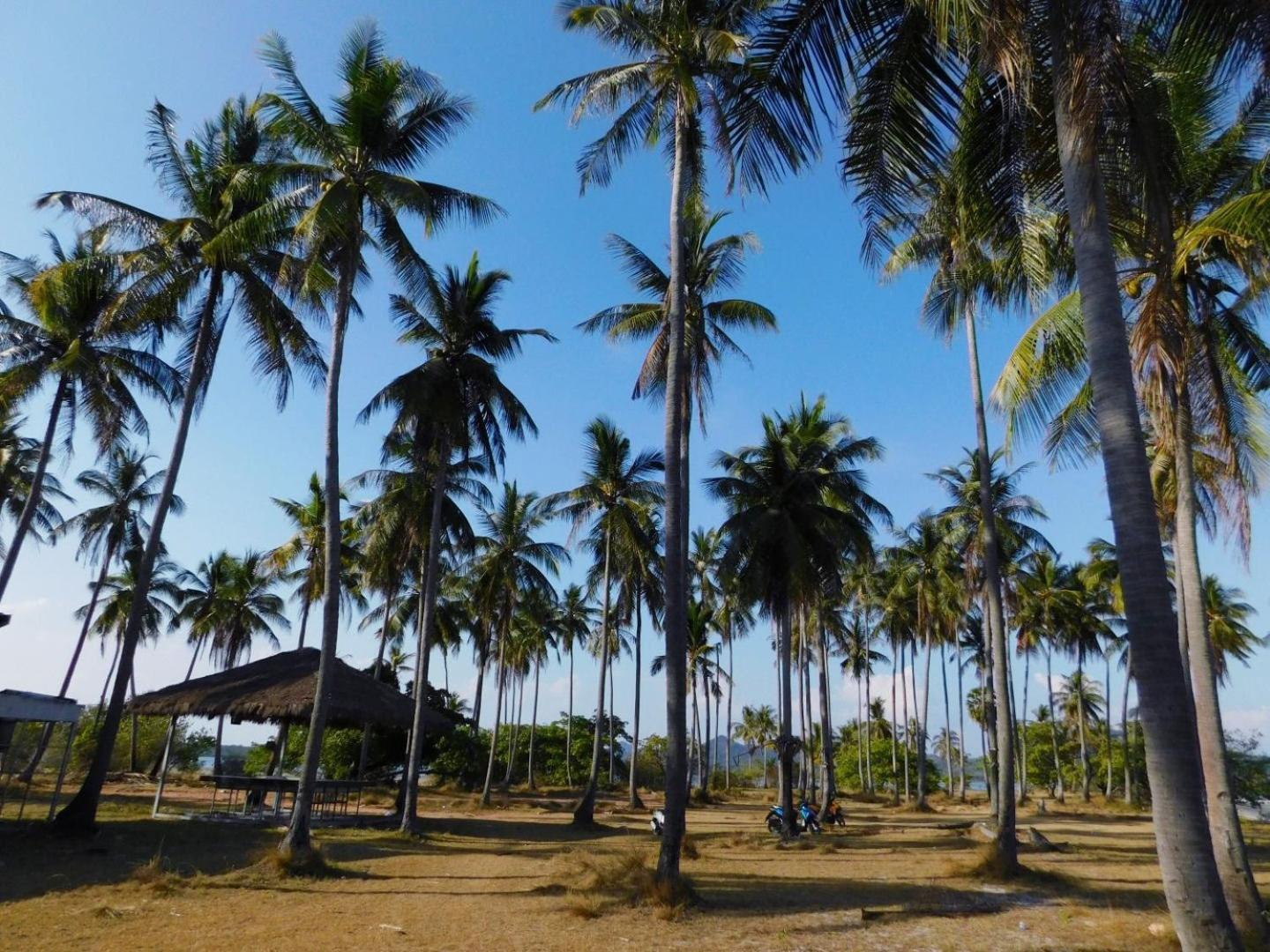 Swiss Bonihouse Koh Yao Yai Hotel Ban Pru Nai Eksteriør billede
