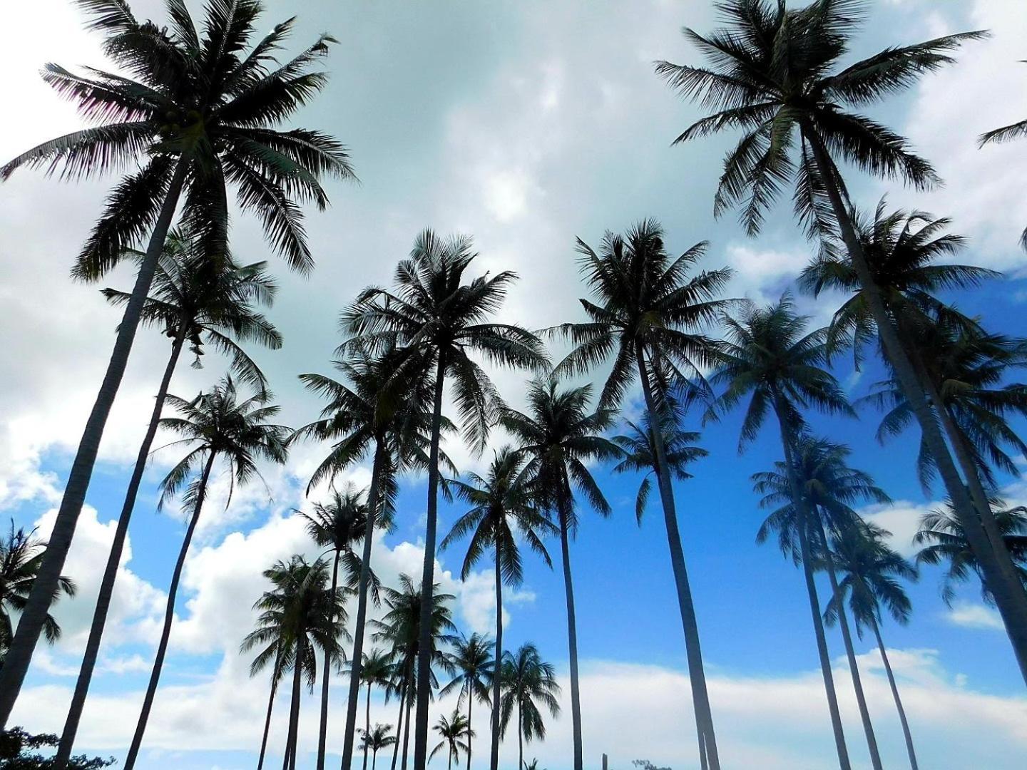 Swiss Bonihouse Koh Yao Yai Hotel Ban Pru Nai Eksteriør billede