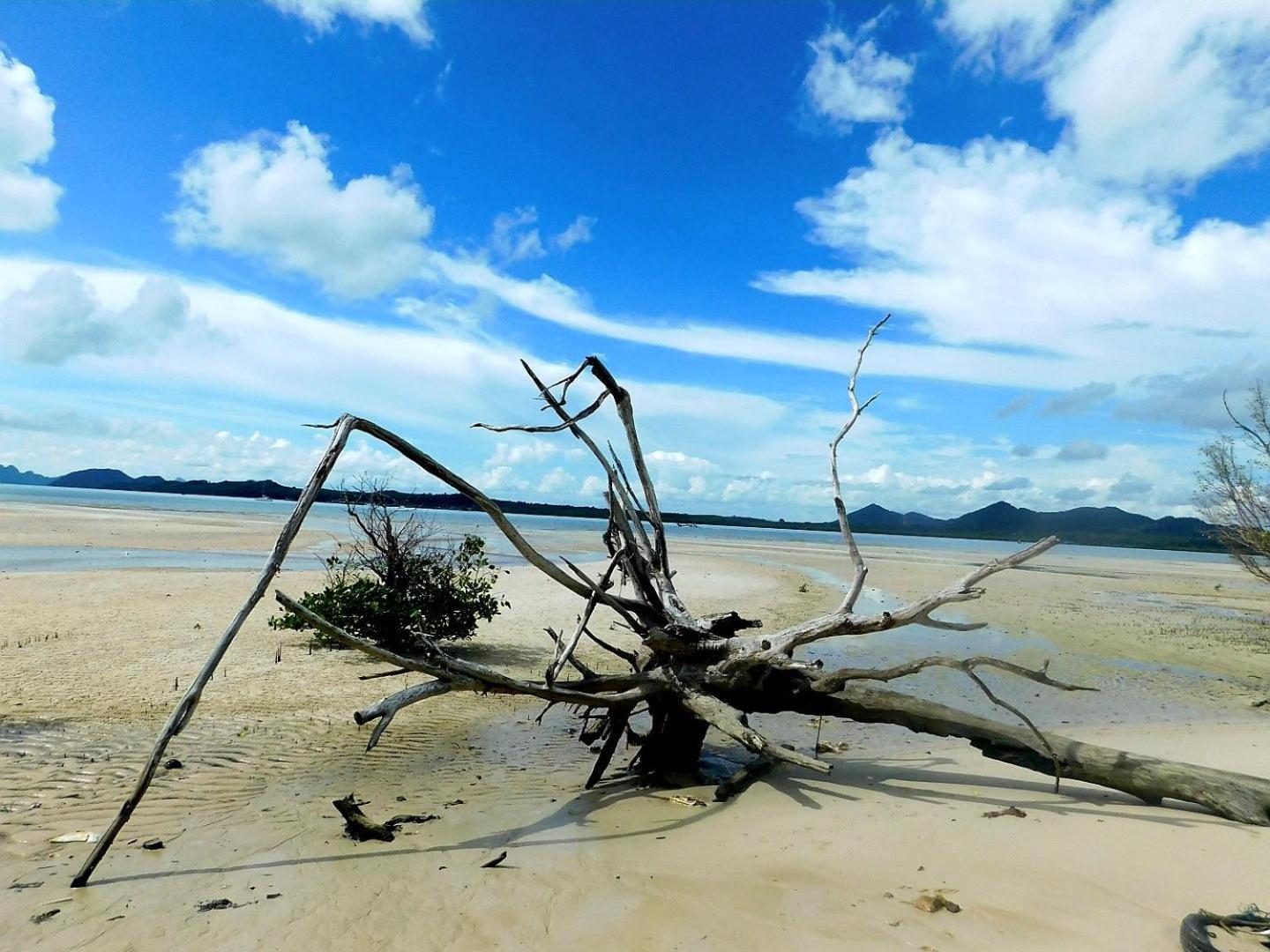 Swiss Bonihouse Koh Yao Yai Hotel Ban Pru Nai Eksteriør billede