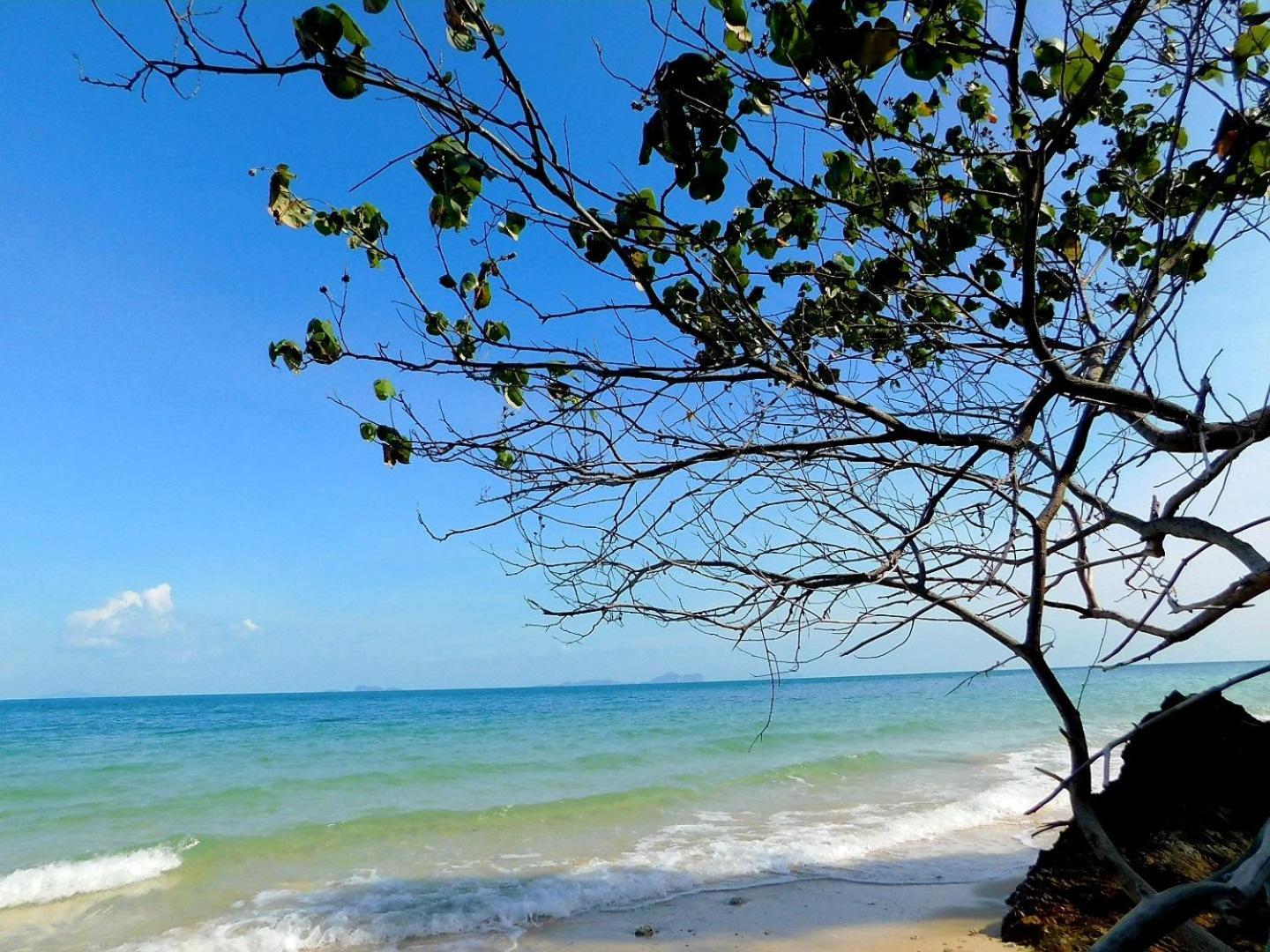 Swiss Bonihouse Koh Yao Yai Hotel Ban Pru Nai Eksteriør billede